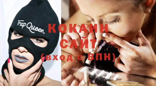 стаф Алзамай