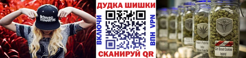 Канабис сатива Судогда